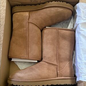 UGG Chestnut Suede Boots